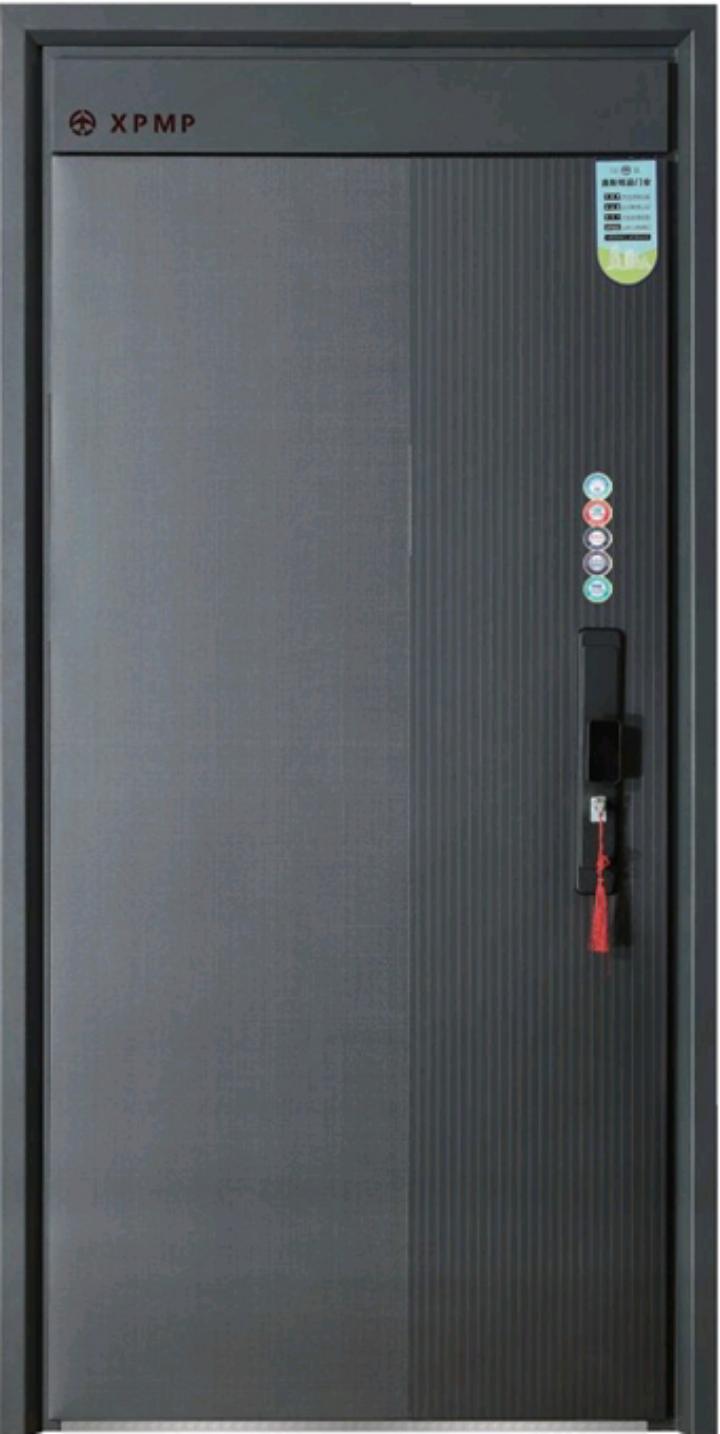 Premium Aluminum Security Door 960 × 2050 × 100 mm – Dark Grey | Heavy Duty Front Entrance Door | Left & Right Opening