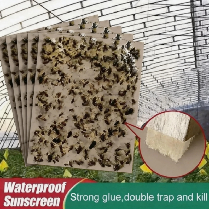 10pcs Strong Sticky Fly Trap Fly Catcher Fly Paper Insect Trap Sticky Glue Trap Non-Toxic Safe for Kids/Pets Adhesive Effective Fly Control Hanging Fly Trap Window Fly Trap Indoor & Outdoor Use