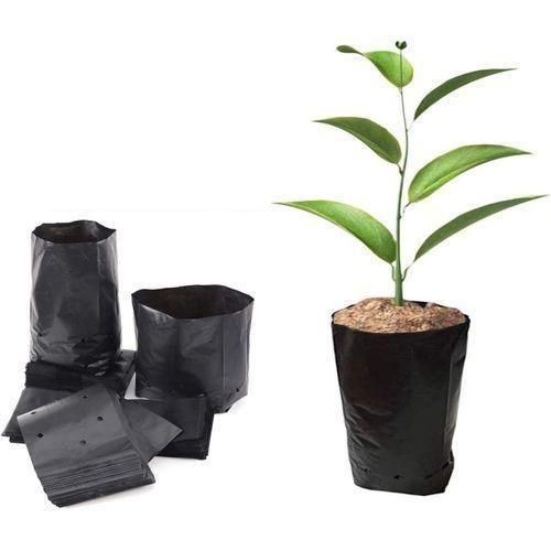 Eco-Friendly Biodegradable & Compostable Plastic Nursery Planting Seedling Bags- 100pcs