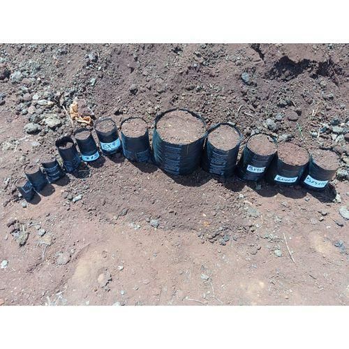 Eco-Friendly Biodegradable & Compostable Plastic Nursery Planting Seedling Bags- 100pcs