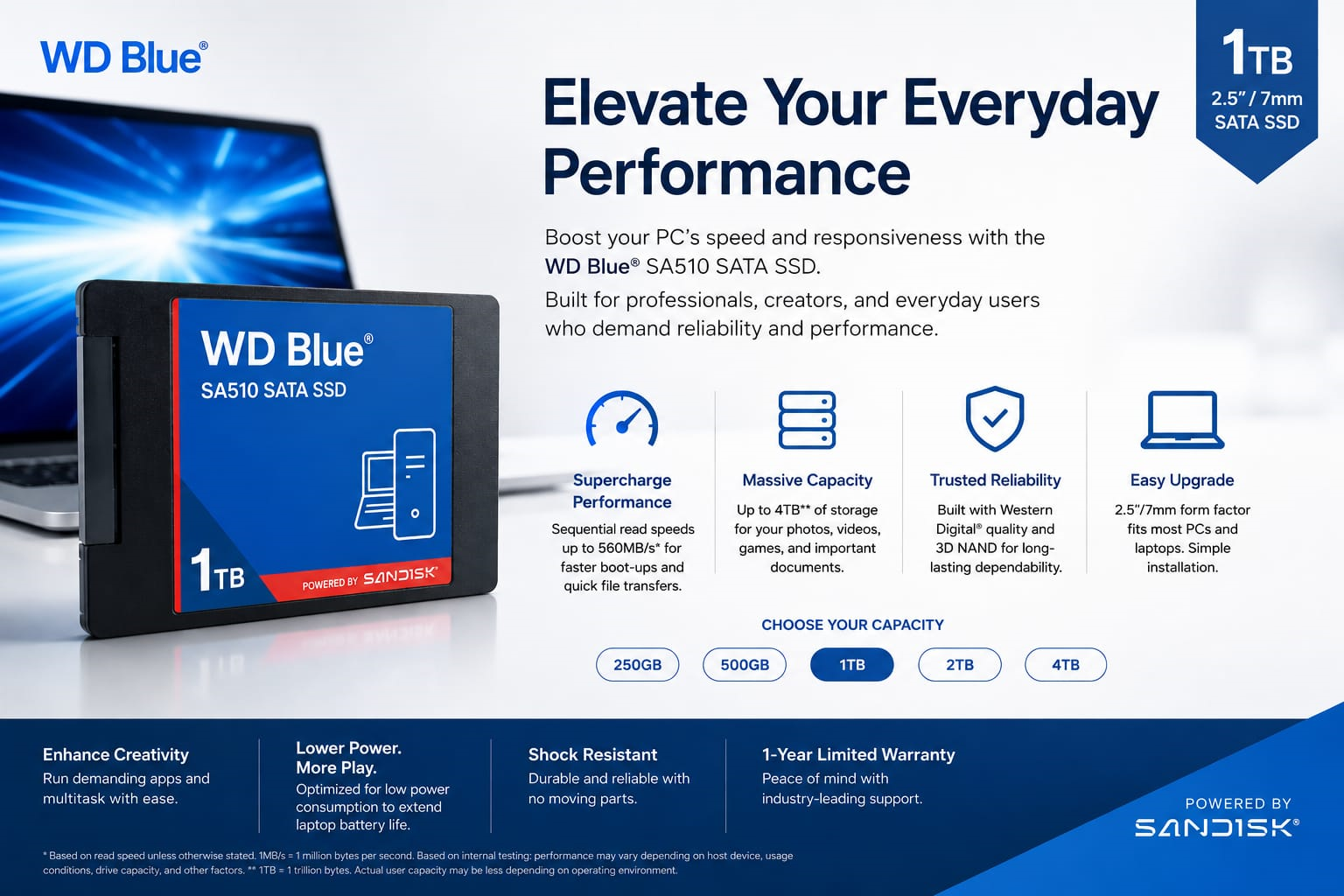 WD Blue SA510 1TB 2.5-inch Internal SATA SSD: DESKTOPS & LAPTOPS