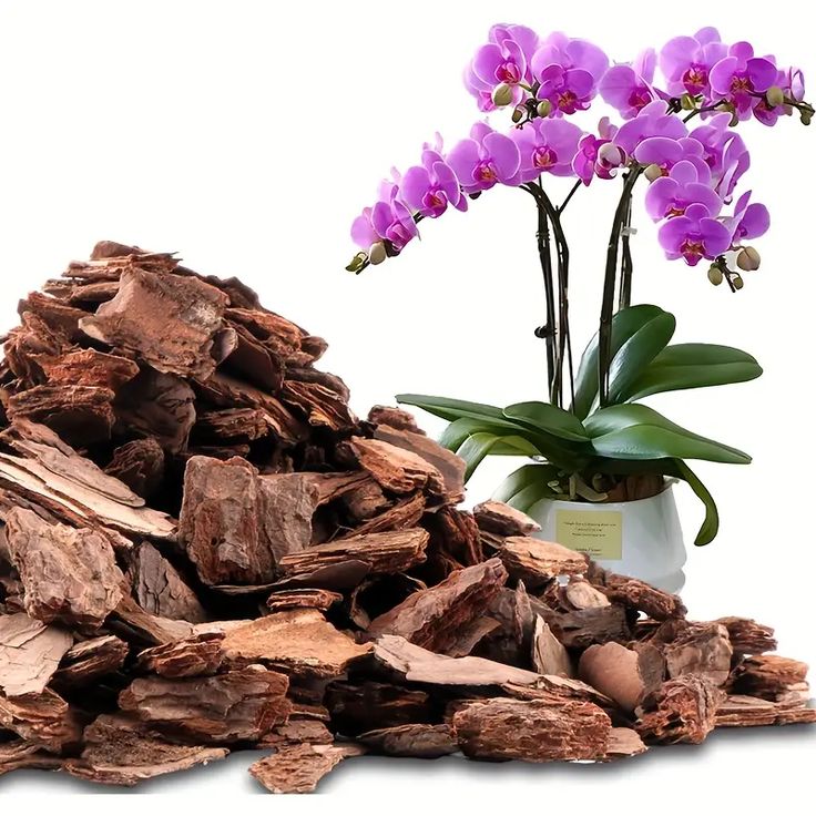 PINE BARK POTTING MIX