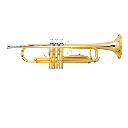 Professional Trumpet Kit for Students, Beginners and Professionals | With Hard Case, Gloves, Mouthpiece, Valve Oil and Cleaning Kit