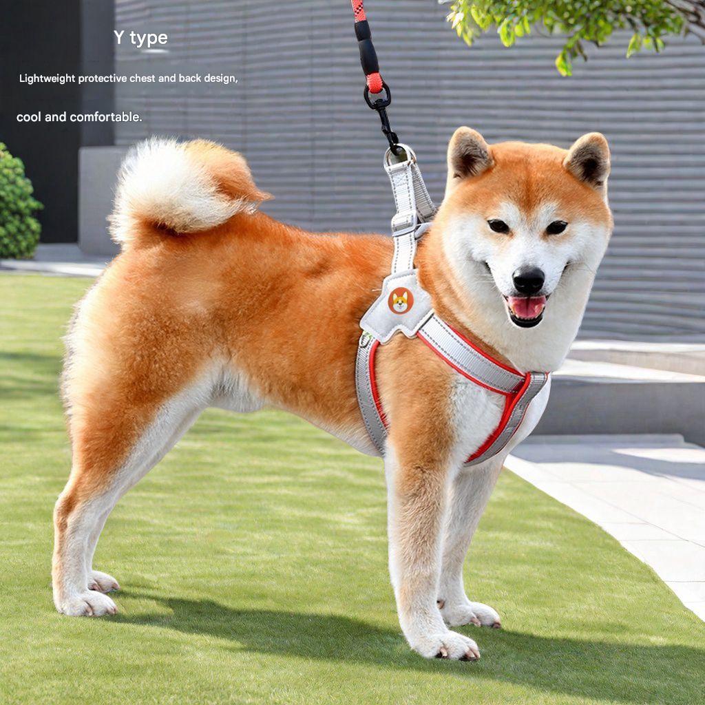 2M Dog leash vest style pet chest harness dog walking leash for small and medium-sized Corgis, Bichons, and Teddy dogs