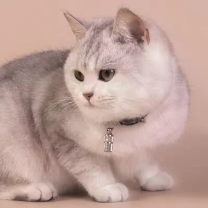 Pet Dog Cat Anti Lost Pendant Mini Waterproof Metal Pet Identity Address Tag Collar Hanging Decoration Anti Lost Pet Accessories