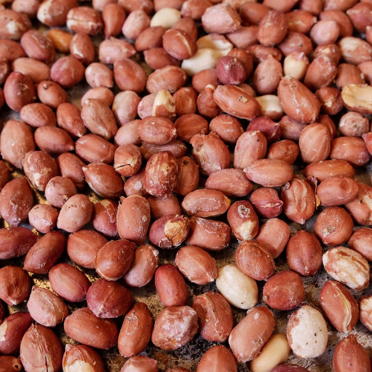 Dry-roasted, with the skins still on to keep that concentrated, slightly bitter-nutty flavor intact.They are rich in monounsaturated and polyunsaturated fats, which help keep cholesterol in check .