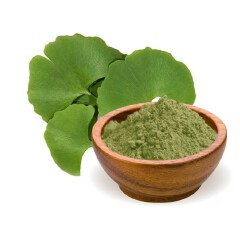 Ginkgo Biloba Dry Extract Powder (25:1 Ratio, 6% Terpenes, 25% Flavone Glycosides)
100g