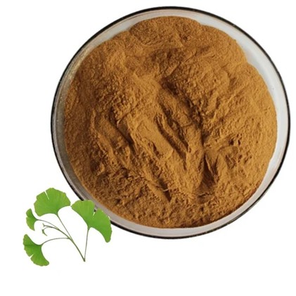 Ginkgo Biloba Dry Extract Powder (25:1 Ratio, 6% Terpenes, 25% Flavone Glycosides)
100g