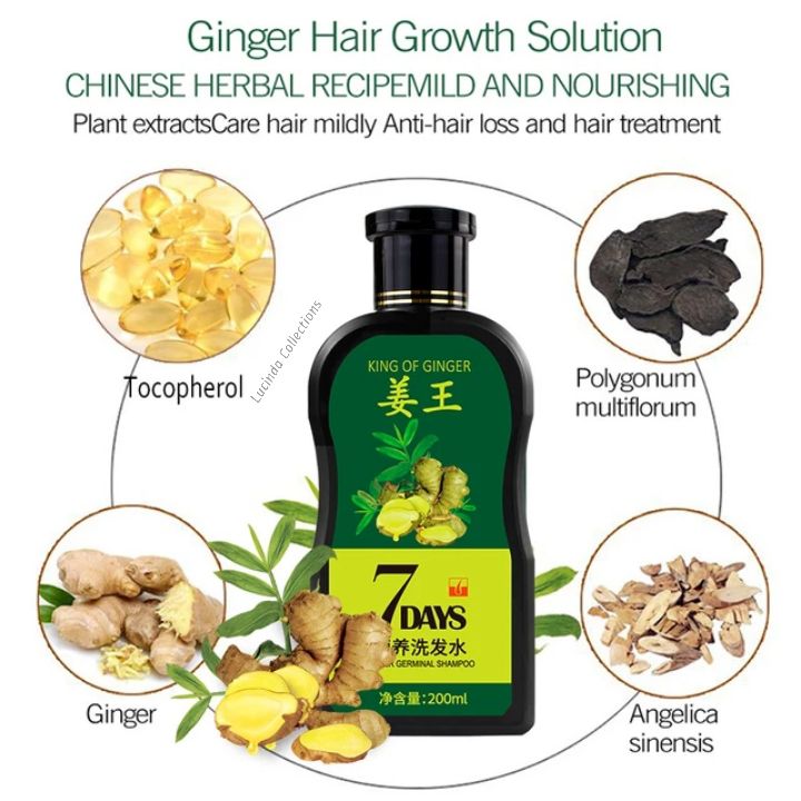 Oil + Shampoo - King Of Ginger 7 Days Ginger Germinal Hair Growth Repair Nourish Root Nutrition Care - Aichun Beauty
