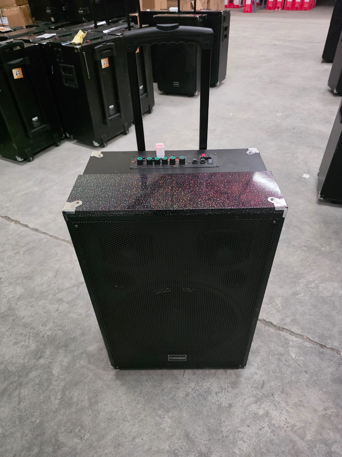TAGWOOD LTS-15A Outdoor Subwoofer Speaker with Bluetooth,FM Radio,Free Wireless Microphone Woofer
