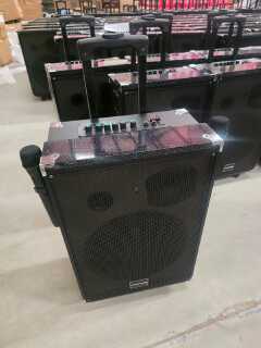 TAGWOOD LTS-12A 12000W Out-Door Subwoofer Multimedia Speaker With Li-Battery ,Wireless Mic, Bluetooth