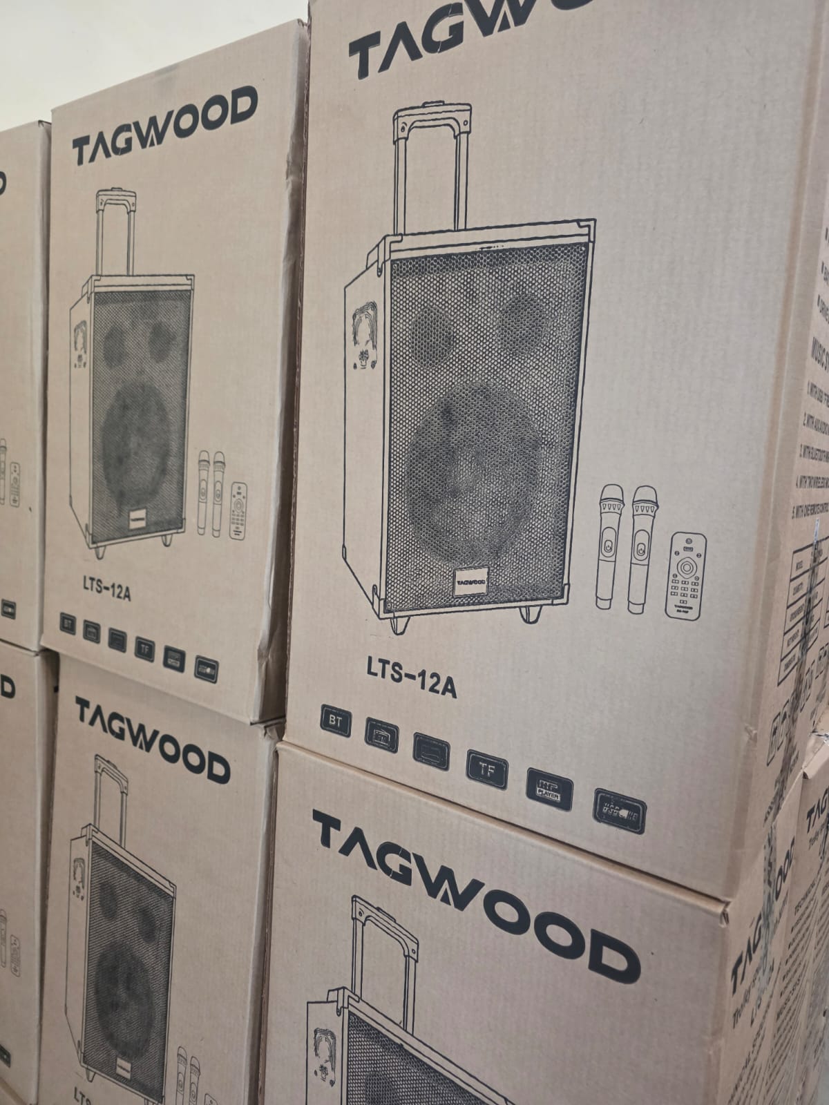 TAGWOOD LTS-12A 12000W Out-Door Subwoofer Multimedia Speaker With Li-Battery ,Wireless Mic, Bluetooth
