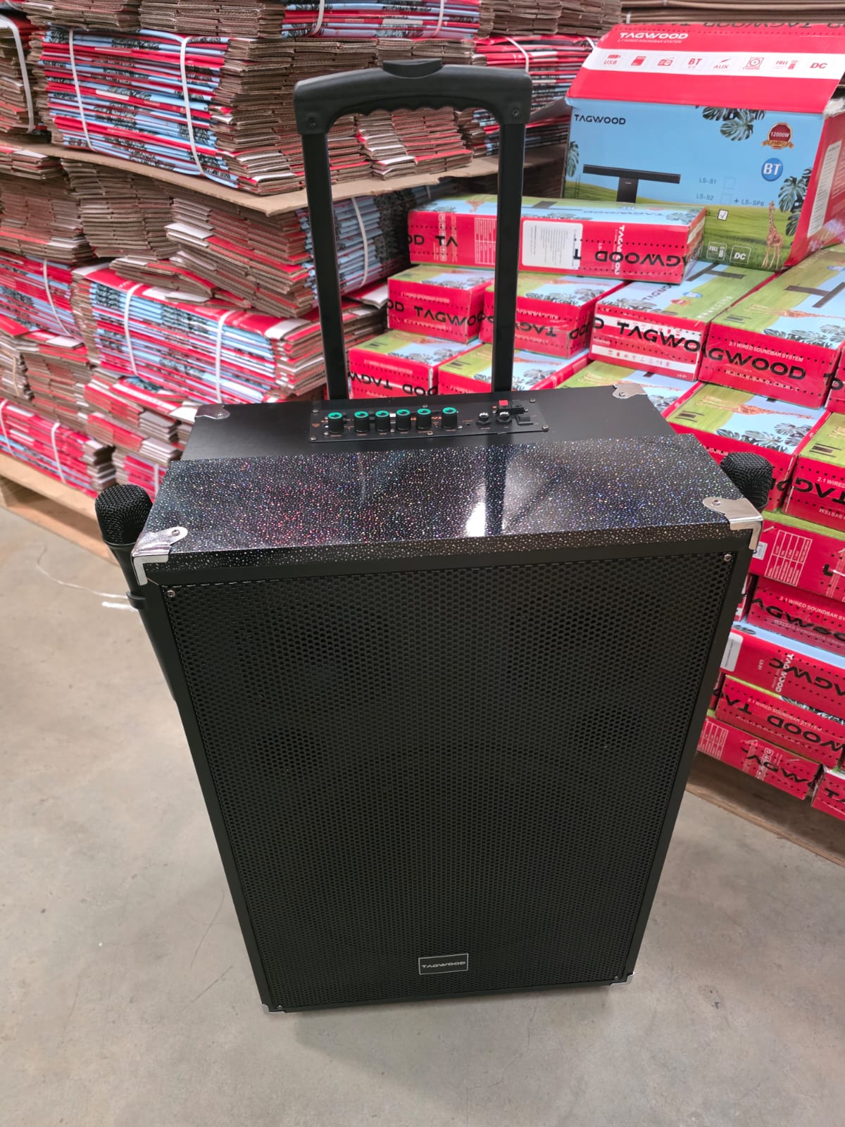 TAGWOOD LTS-15A Outdoor Subwoofer Speaker with Bluetooth,FM Radio,Free Wireless Microphone Woofer