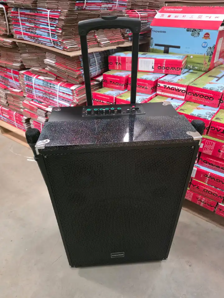 TAGWOOD LTS-15A Outdoor Subwoofer Speaker with Bluetooth,FM Radio,Free Wireless Microphone Woofer
