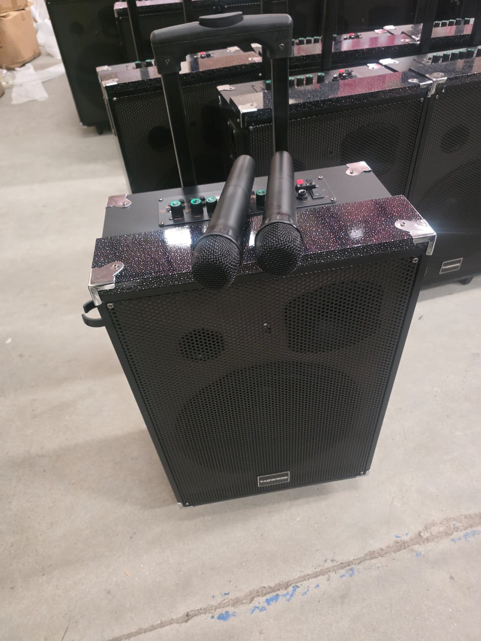 TAGWOOD LTS-12A 12000W Out-Door Subwoofer Multimedia Speaker With Li-Battery ,Wireless Mic, Bluetooth