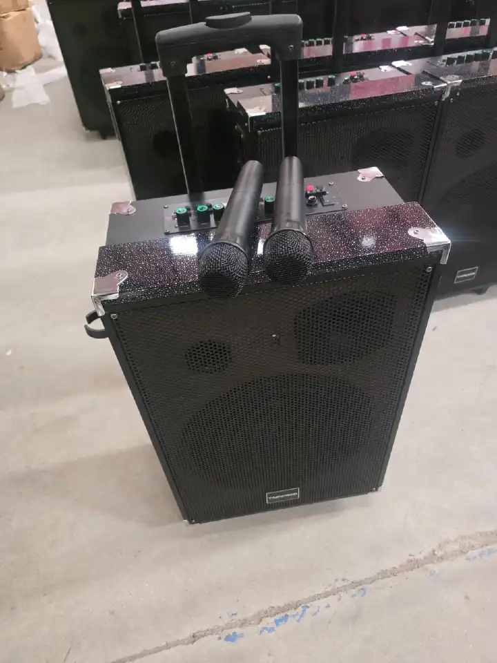 TAGWOOD LTS-12A 12000W Out-Door Subwoofer Multimedia Speaker With Li-Battery ,Wireless Mic, Bluetooth