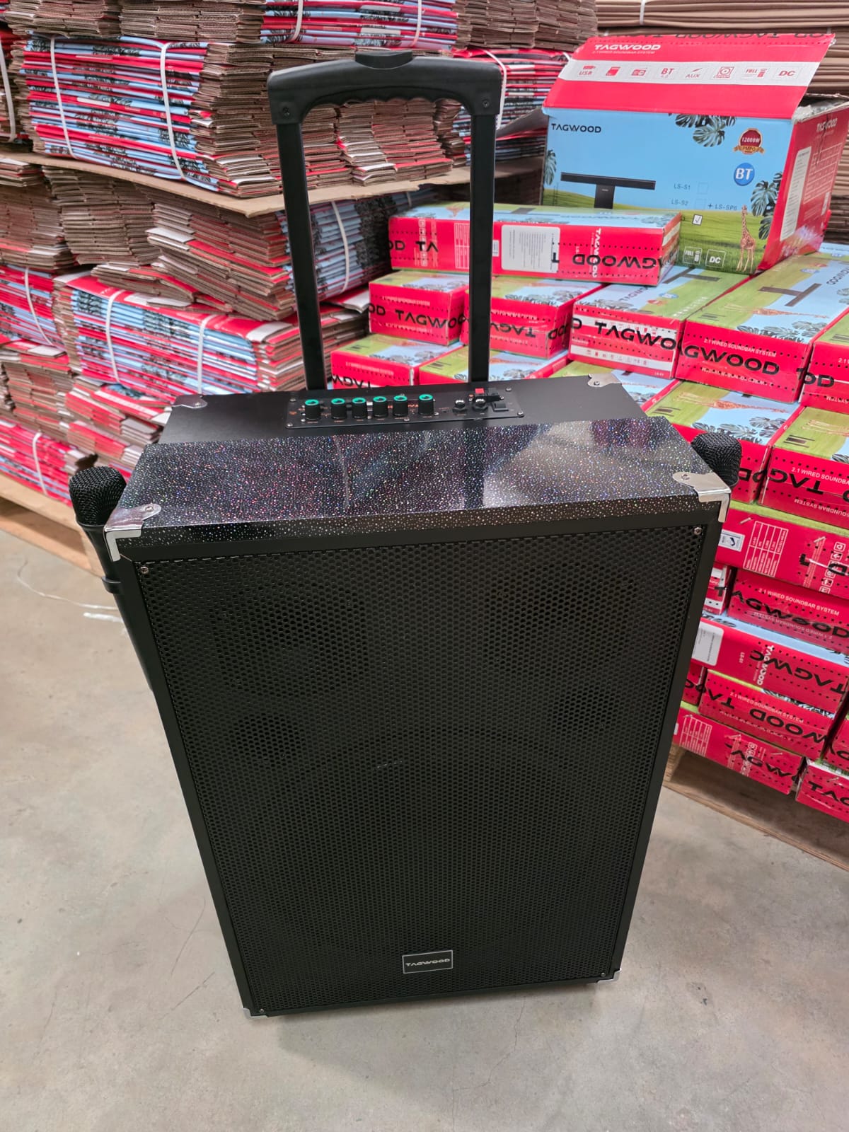 TAGWOOD LTS-15A Outdoor Subwoofer Speaker with Bluetooth,FM Radio,Free Wireless Microphone Woofer
