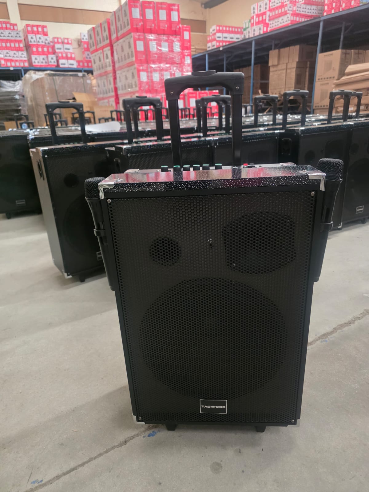 TAGWOOD LTS-12A 12000W Out-Door Subwoofer Multimedia Speaker With Li-Battery ,Wireless Mic, Bluetooth