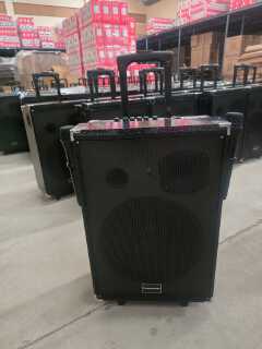 TAGWOOD LTS-12A 12000W Out-Door Subwoofer Multimedia Speaker With Li-Battery ,Wireless Mic, Bluetooth