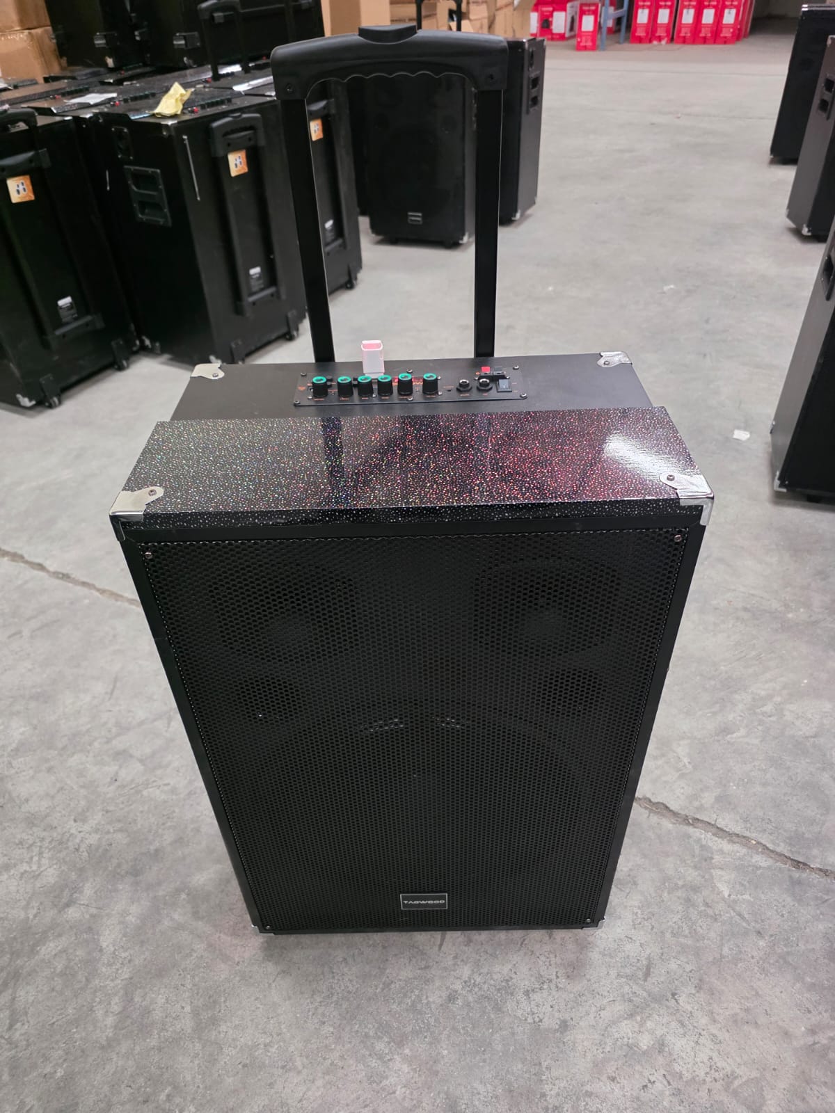 TAGWOOD LTS-15A Outdoor Subwoofer Speaker with Bluetooth,FM Radio,Free Wireless Microphone Woofer