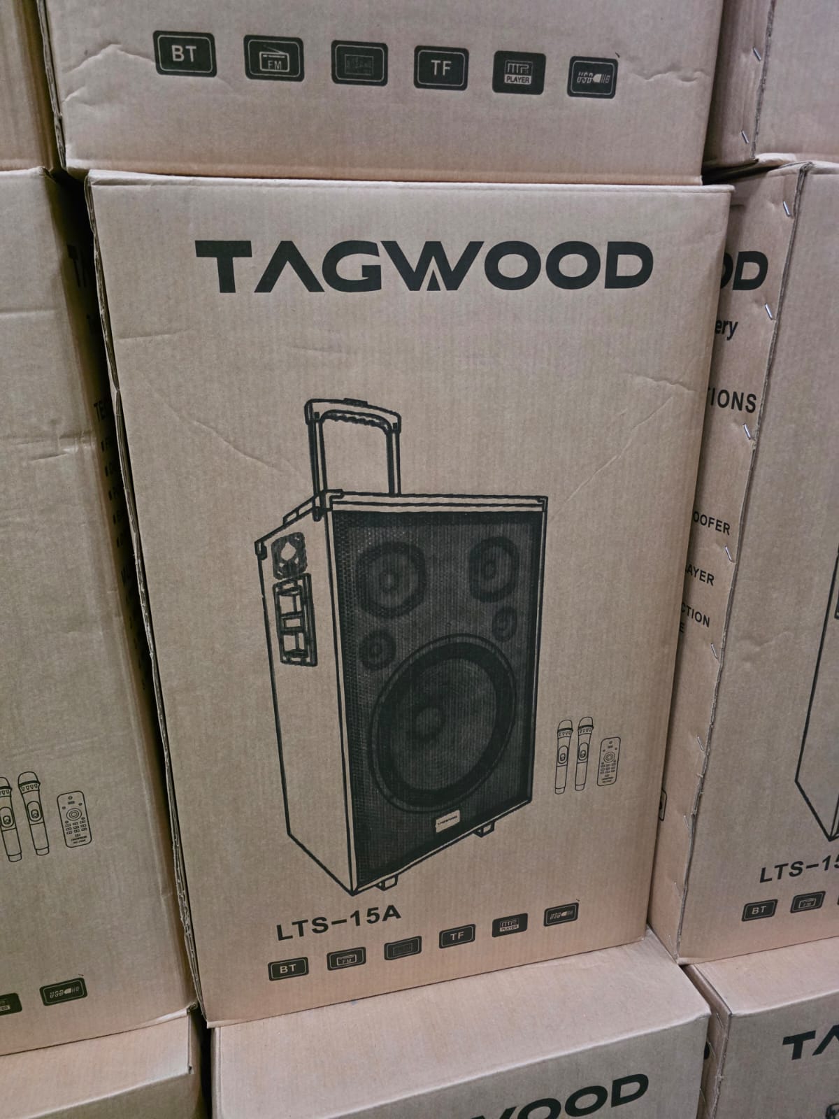 TAGWOOD LTS-15A Outdoor Subwoofer Speaker with Bluetooth,FM Radio,Free Wireless Microphone Woofer
