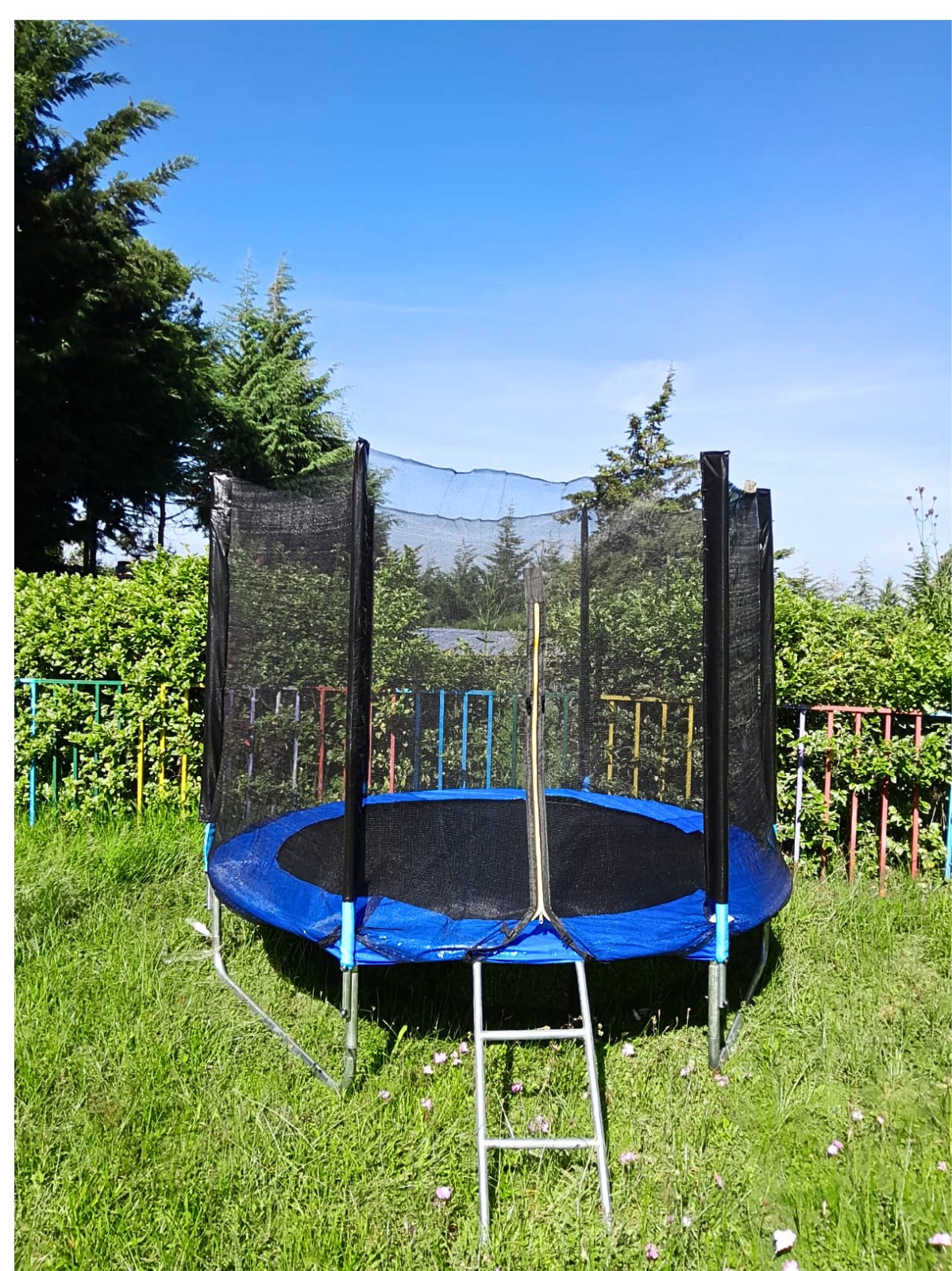 Brand New 8 Feet Trampoline With Safety Enclosure and Ladder
