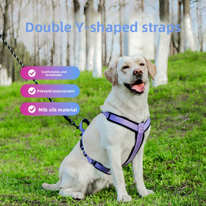 H-Style Dog Harness with Reflective Leash Options – Anti-Escape, Wear-Resistant, Anti-Pull Harness for Small to Large Dogs | Outdoor Walking & Training | Purple, Black, Green, Rde