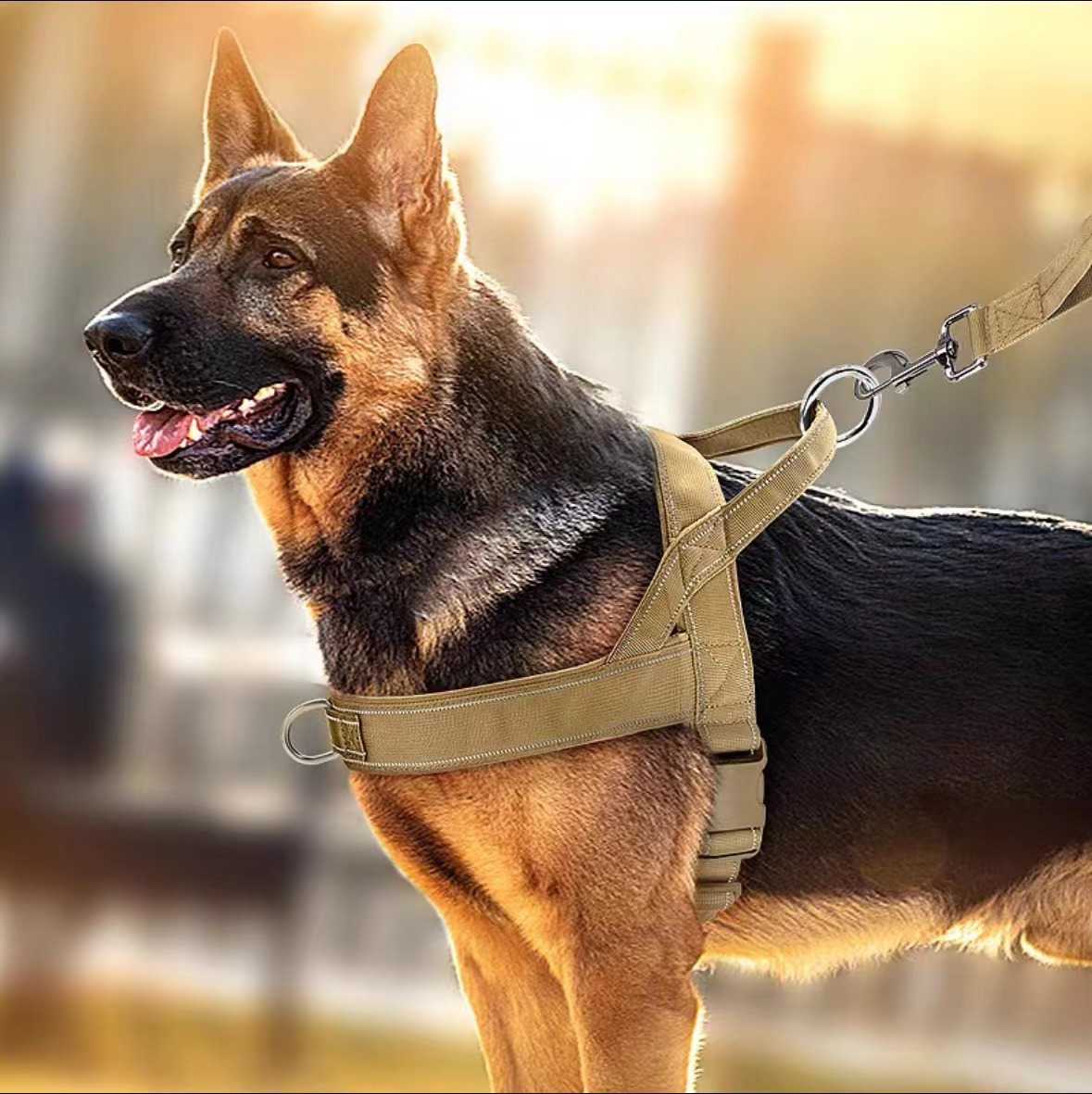 actical Dog Harness / Vest-Style Collar – Nylon Anti-Pull Harness for Large Dogs | Adjustable? S–XL | Black, Khaki, Army Green, Pink | For German Shepherd, Golden Retriever, Border Collie & More