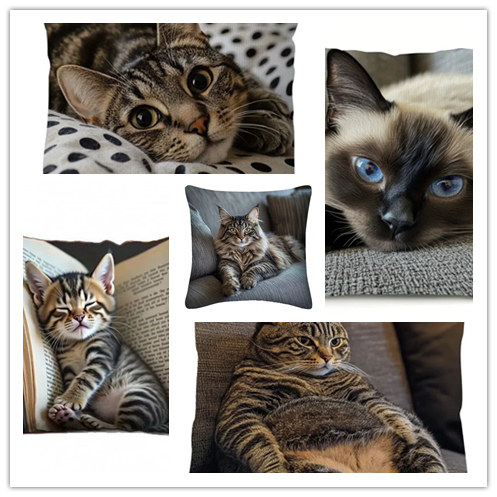1PC   Sofa Cat Pillow Cover, Single-Sided Print for Easter, No Pillow Insert, Perfect for Any Living Room,Sofa Decor Style