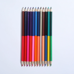 24 Colors Double Headed Pencils for Children Professional Drawing Sketching and Pastel Art Premium Student School Art Supplies