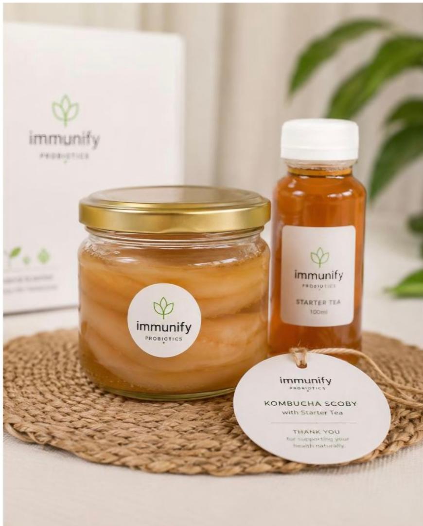 Immunify Kombucha SCOBY With Starter Tea Grow Your Own Healthy Kombucha at Home