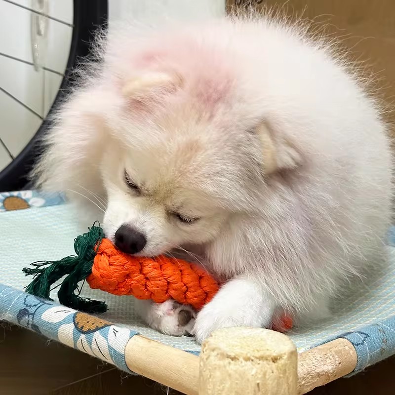 Carrot Shape Rope Knot Dog Toys Bite Resistant Chew Toys For Puppy Teeth Grinding Interactive Tug Of War Play Toys Pet Supplies