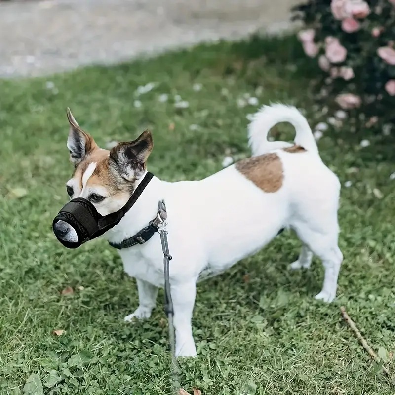 Soft Dog Muzzle Breathable Mesh Muzzle for Small Medium Large Dog Mouth Cover, Adjustable Muzzles To Prevent Biting Barking Dogs