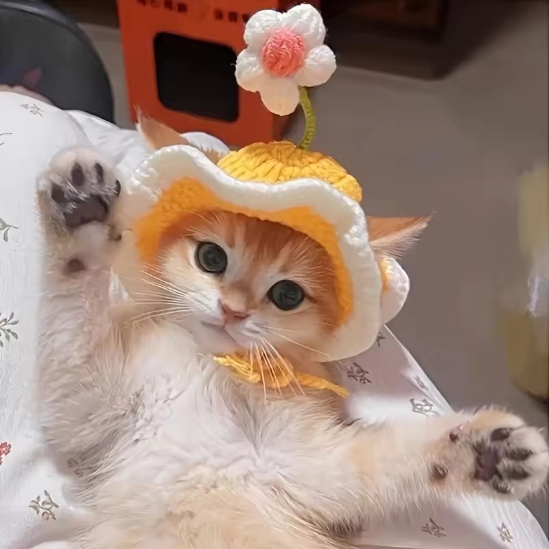Cute Refined Cat Hat Elastic Autumn Winter Pet Puppy Kittens Knitted Headgear Party Photo Shooting Props Decoration Pets Costume