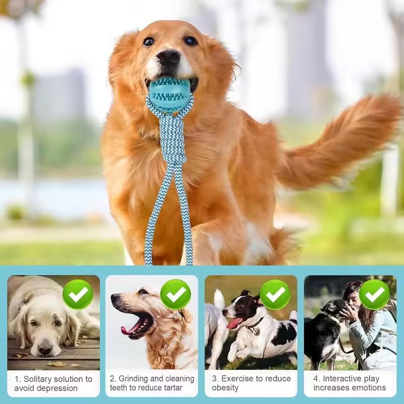 Pet Tooth Cleaning Pet Ball Toy with Rope Rubber Leaking Balls Toy for Small Large Dogs Puppy Chewing Bite Resistant Toys