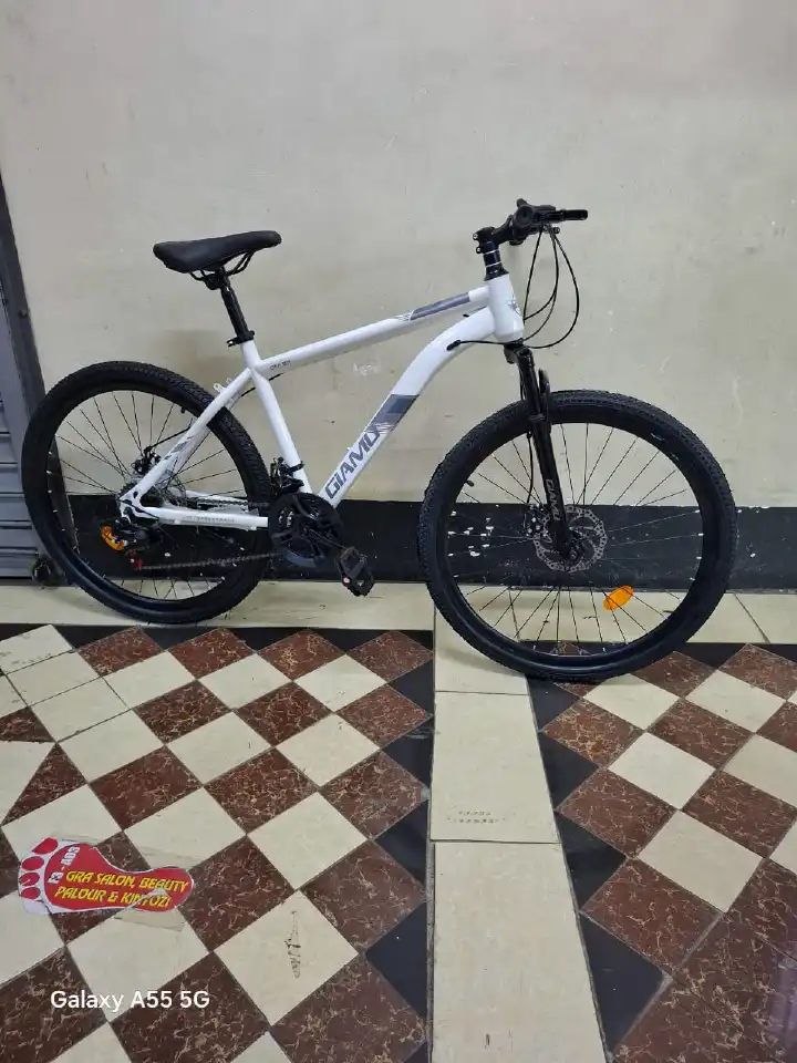 26 Inch Mountain Bike Front Suspension Multi Speed Gear System Disc Brakes All Terrain Tyres Strong Steel Frame Outdoor Cycling Trail Road Fitness Bicycle