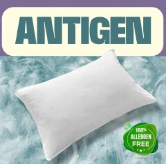 2 FREE PILLOWS Johari 8 Inch Orthopedic Fibre Mattress Supportive Breathable Bedding Quilted Soft Cover Heavy Duty Construction Back Care Comfort Modern Bedroom Design 24 Month Warranty