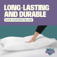 2 FREE PILLOWS Johari 8 Inch Orthopedic Fibre Mattress Supportive Breathable Bedding Quilted Soft Cover Heavy Duty Construction Back Care Comfort Modern Bedroom Design 24 Month Warranty
