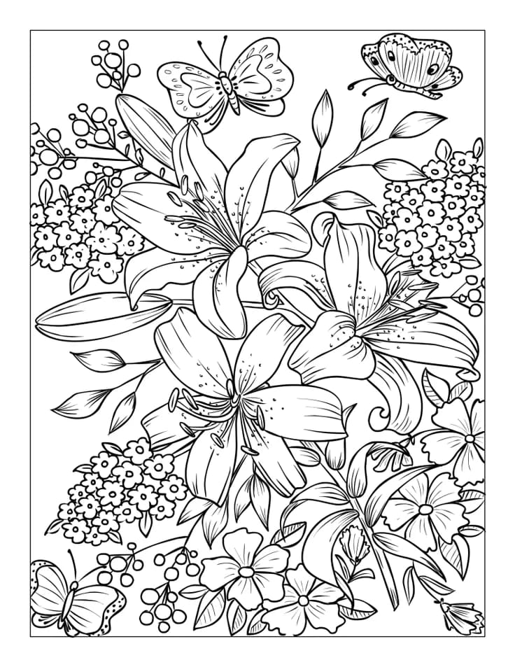 Adult Coloring Book with coloring Pencils