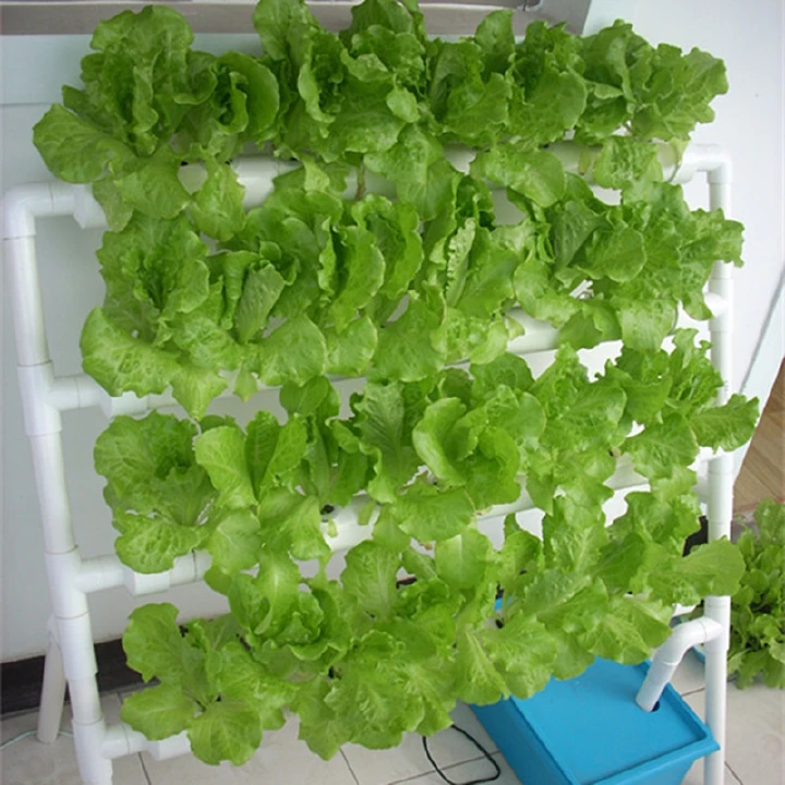 Hydroponic Planting Baskets PP Plastic Net Pots for Water Growing Vegetables-50PC