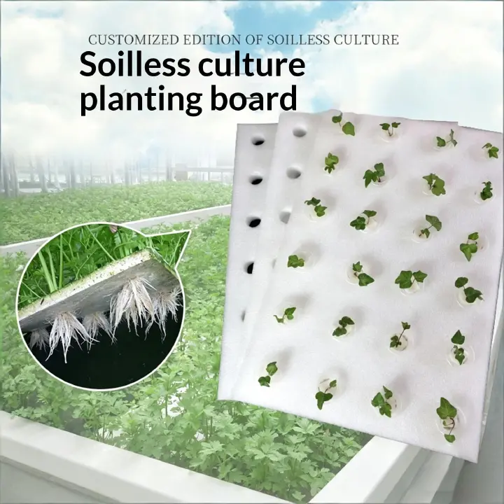 Hydroponic Planting Foam Board 600x400x30mm, 40mm Hole, Soilless Culture Planting Plate for Vegetables-5 Pieces