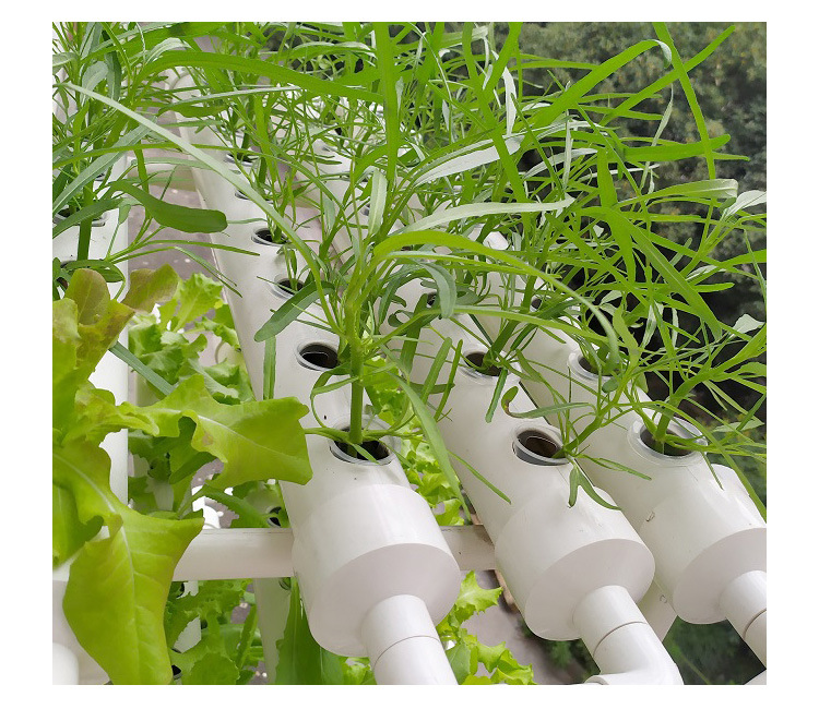 Hydroponic Planting Baskets PP Plastic Net Pots for Water Growing Vegetables-50PC