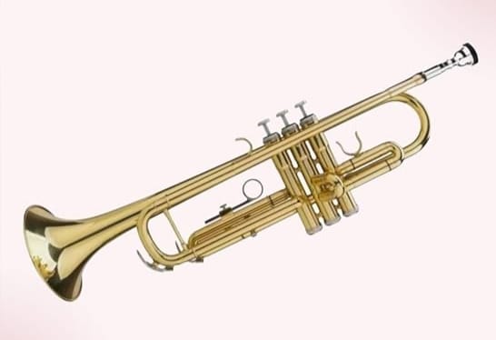 Professional Trumpet Set (Premier)– Gold Trumpe with Hard Case, 7C Mouthpiece, Valve Oil, gloves, strap– Ideal for Students & Band Performances