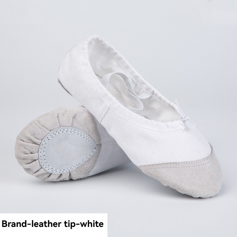Dance shoes Children's soft soled training shoes Dance shoes Adult professional girl's ballet
