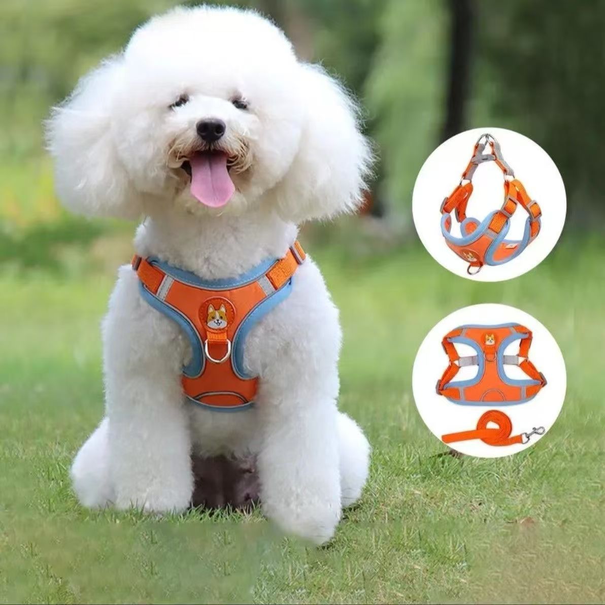 Dog Lead, Walking Lead, Reflective Harness, Adjustable Walking Lead, Vest-Style  Pet Supplies  Premium range
