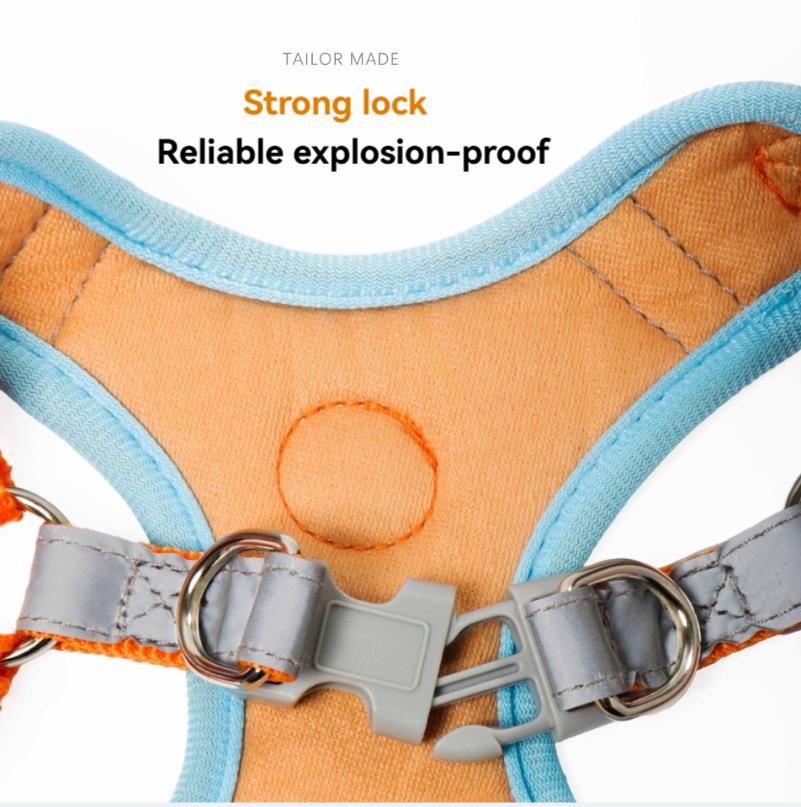 Dog Lead, Walking Lead, Reflective Harness, Adjustable Walking Lead, Vest-Style  Pet Supplies  Premium range