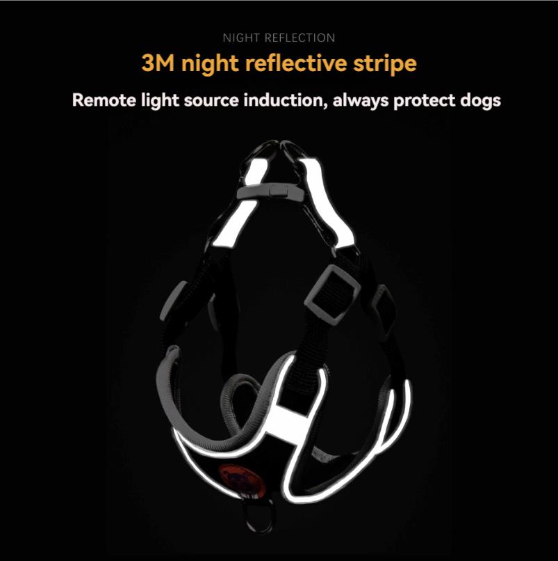 Dog Lead, Walking Lead, Reflective Harness, Adjustable Walking Lead, Vest-Style  Pet Supplies  Premium range
