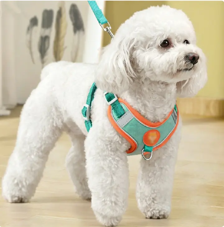 Dog Lead, Walking Lead, Reflective Harness, Adjustable Walking Lead, Vest-Style  Pet Supplies  Premium range