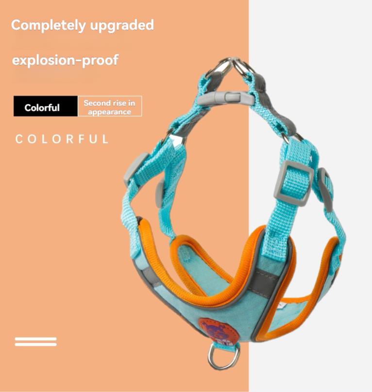 Dog Lead, Walking Lead, Reflective Harness, Adjustable Walking Lead, Vest-Style  Pet Supplies  Premium range