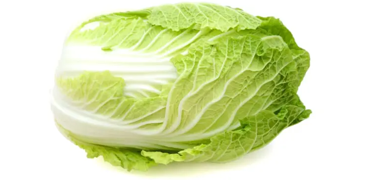 CHINESE CABBAGE/ NAPA CABBAGE SEEDS